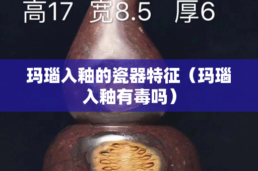 瑪瑙入釉的瓷器特征（瑪瑙入釉有毒嗎）