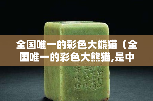 全國唯一的彩色大熊貓（全國唯一的彩色大熊貓,是中國的嗎）