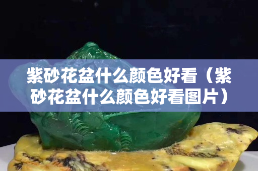 紫砂花盆什么顏色好看（紫砂花盆什么顏色好看圖片）