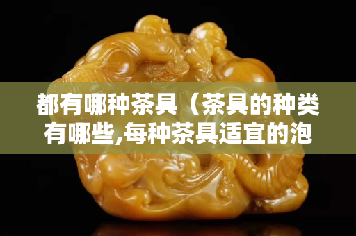 都有哪種茶具（茶具的種類有哪些,每種茶具適宜的泡茶類型有哪些）