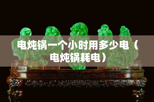 電燉鍋一個(gè)小時(shí)用多少電（電燉鍋耗電）