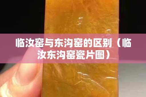 臨汝窯與東溝窯的區別（臨汝東溝窯瓷片圖）