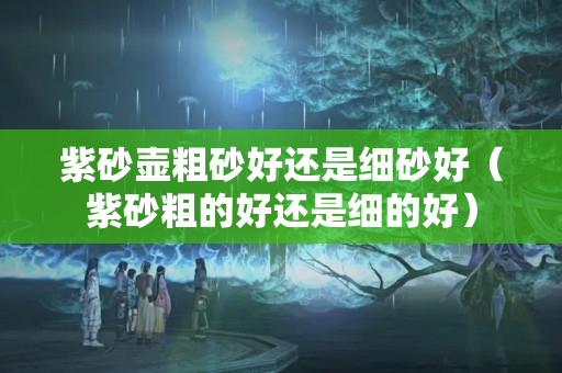 紫砂壺粗砂好還是細(xì)砂好（紫砂粗的好還是細(xì)的好）
