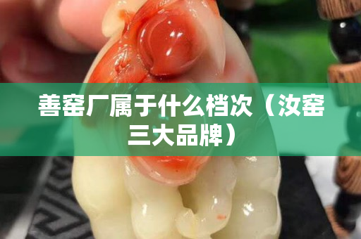 善窯廠屬于什么檔次（汝窯三大品牌）