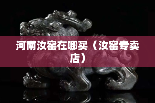 河南汝窯在哪買（汝窯專賣店）