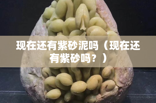 現(xiàn)在還有紫砂泥嗎（現(xiàn)在還有紫砂嗎？）