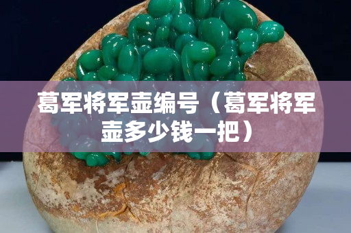 葛軍將軍壺編號(hào)（葛軍將軍壺多少錢一把）