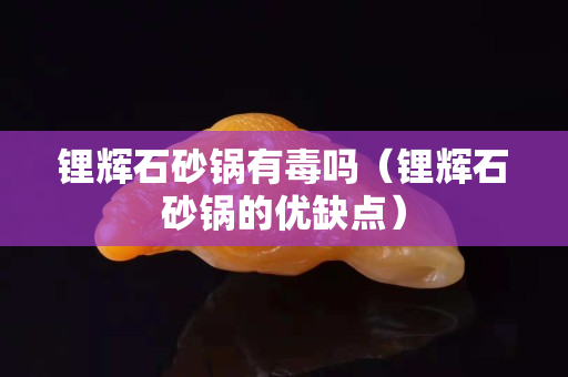 鋰輝石砂鍋有毒嗎（鋰輝石砂鍋的優(yōu)缺點(diǎn)）