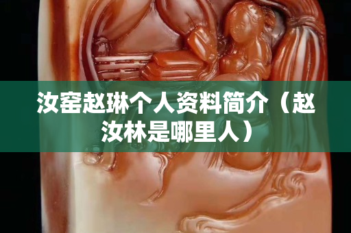 汝窯趙琳個人資料簡介（趙汝林是哪里人）