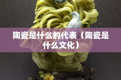 陶瓷是什么的代表（陶瓷是什么文化）