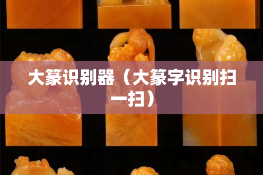 大篆識別器（大篆字識別掃一掃）