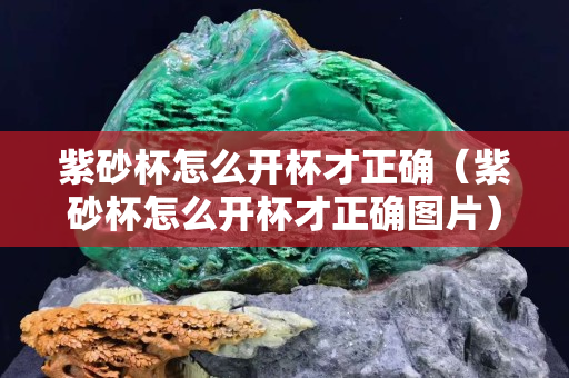 紫砂杯怎么開杯才正確（紫砂杯怎么開杯才正確圖片）