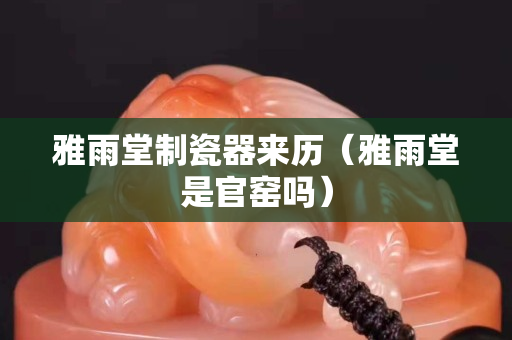 雅雨堂制瓷器來歷（雅雨堂是官窯嗎）