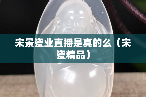 宋景瓷業直播是真的么（宋瓷精品）