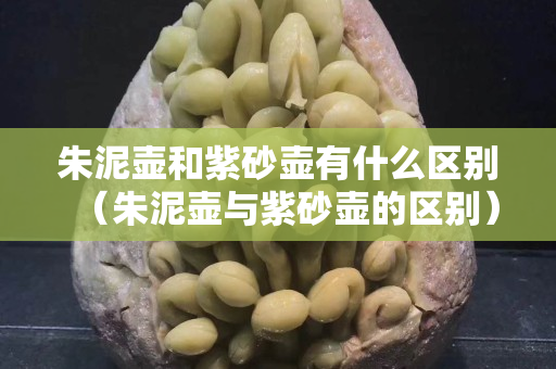朱泥壺和紫砂壺有什么區別（朱泥壺與紫砂壺的區別）
