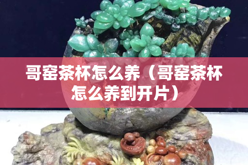 哥窯茶杯怎么養（哥窯茶杯怎么養到開片）