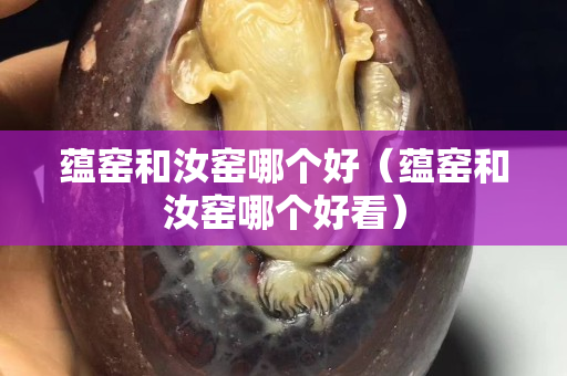 蘊窯和汝窯哪個好（蘊窯和汝窯哪個好看）