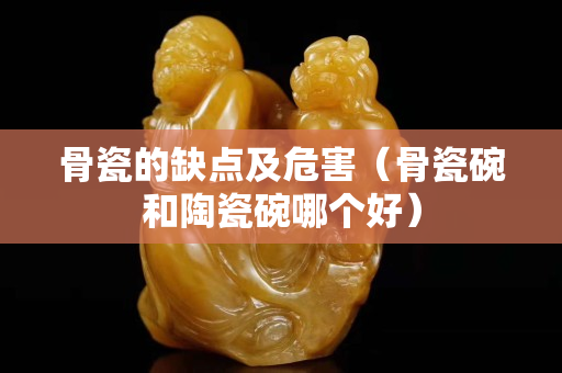 骨瓷的缺點及危害（骨瓷碗和陶瓷碗哪個好）