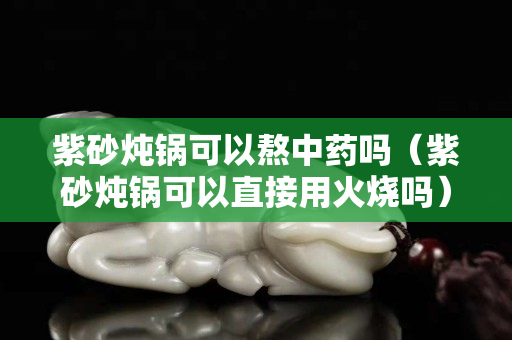 紫砂燉鍋可以熬中藥嗎（紫砂燉鍋可以直接用火燒嗎）