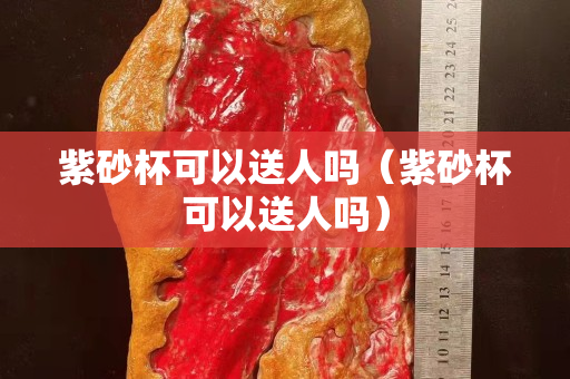 紫砂杯可以送人嗎（紫砂杯可以送人嗎）
