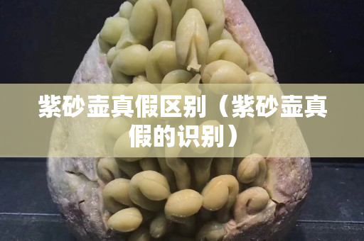 紫砂壺真假區(qū)別（紫砂壺真假的識(shí)別）