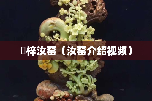 枼梓汝窯（汝窯介紹視頻）