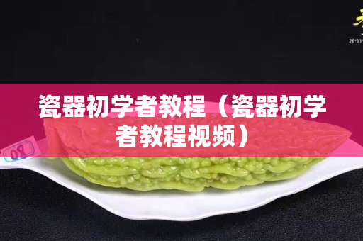 瓷器初學者教程（瓷器初學者教程視頻）