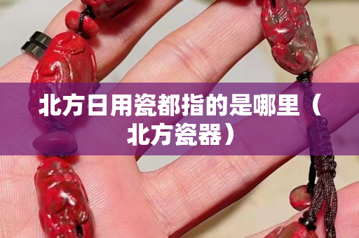 北方日用瓷都指的是哪里（北方瓷器）
