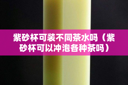 紫砂杯可裝不同茶水嗎（紫砂杯可以沖泡各種茶嗎）