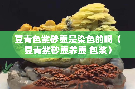 豆青色紫砂壺是染色的嗎（豆青紫砂壺養壺 包漿）