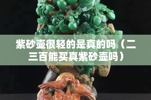 紫砂壺很輕的是真的嗎（二三百能買真紫砂壺嗎）