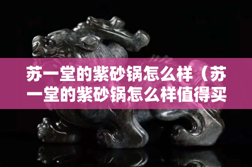 蘇一堂的紫砂鍋怎么樣（蘇一堂的紫砂鍋怎么樣值得買嗎）