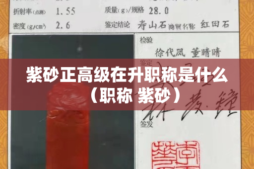 紫砂正高級在升職稱是什么（職稱 紫砂）
