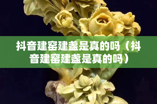 抖音建窯建盞是真的嗎（抖音建窯建盞是真的嗎）