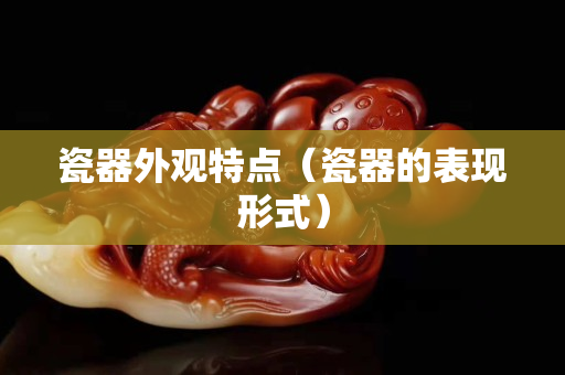 瓷器外觀特點（瓷器的表現(xiàn)形式）