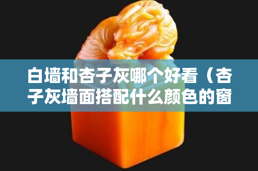 白墻和杏子灰哪個(gè)好看（杏子灰墻面搭配什么顏色的窗簾比較好看）