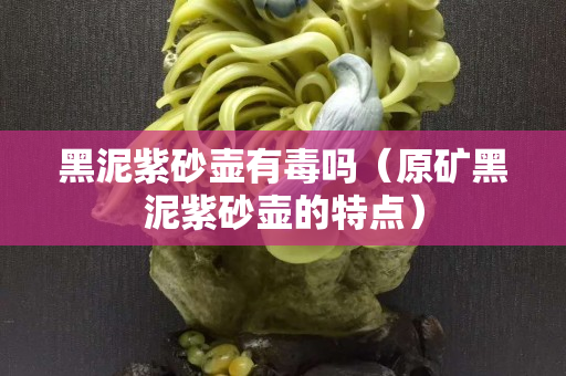 黑泥紫砂壺有毒嗎（原礦黑泥紫砂壺的特點）