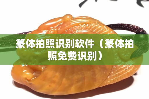篆體拍照識別軟件（篆體拍照免費識別）