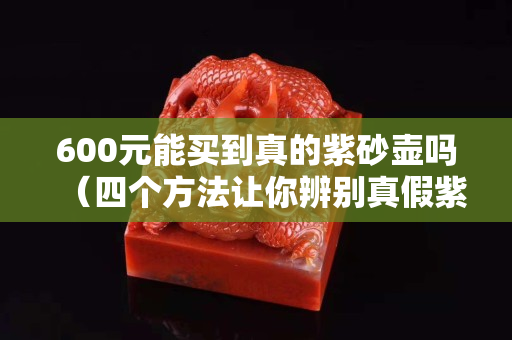 600元能買(mǎi)到真的紫砂壺嗎（四個(gè)方法讓你辨別真假紫砂壺）