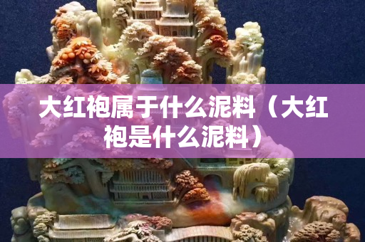 大紅袍屬于什么泥料（大紅袍是什么泥料）