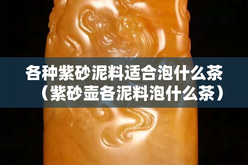 各種紫砂泥料適合泡什么茶（紫砂壺各泥料泡什么茶）