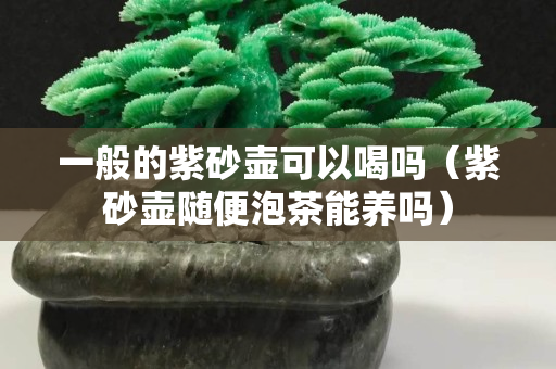 一般的紫砂壺可以喝嗎（紫砂壺隨便泡茶能養(yǎng)嗎）