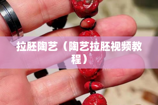 拉胚陶藝（陶藝拉胚視頻教程）