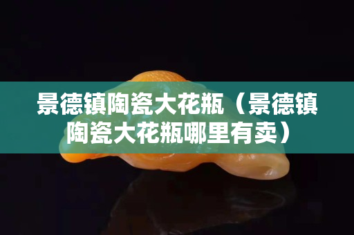 景德鎮(zhèn)陶瓷大花瓶（景德鎮(zhèn)陶瓷大花瓶哪里有賣）