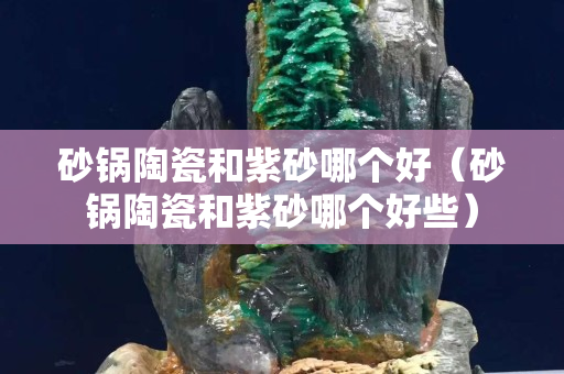 砂鍋陶瓷和紫砂哪個(gè)好（砂鍋陶瓷和紫砂哪個(gè)好些）