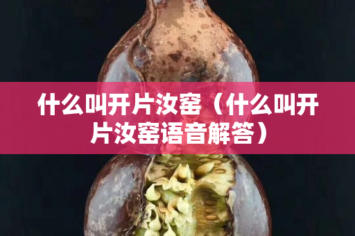 什么叫開片汝窯（什么叫開片汝窯語音解答）