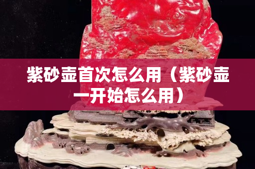 紫砂壺首次怎么用（紫砂壺一開始怎么用）