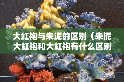 大紅袍與朱泥的區別（朱泥大紅袍和大紅袍有什么區別）