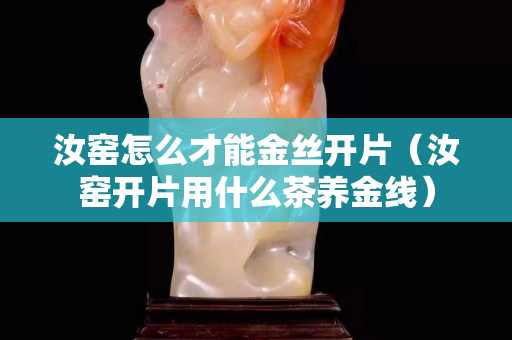 汝窯怎么才能金絲開片（汝窯開片用什么茶養金線）