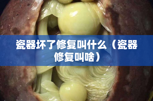 瓷器壞了修復叫什么（瓷器修復叫啥）